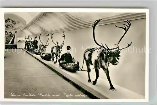 AK / Ansichtskarte Elch Skansen Stockholm Nordiska museet Lapska avdelningen Kat. Tiere