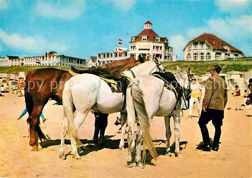 AK / Ansichtskarte Noordwijk aan Zee  Strand Pferde Kat. Noordwijk