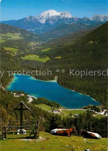 AK / Ansichtskarte Hintersee Allgaeu Blick von der Halsalm Kat. Immenstadt i.Allgaeu