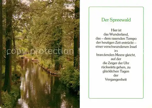 AK / Ansichtskarte Spreewald Kanal Kat. Luebbenau