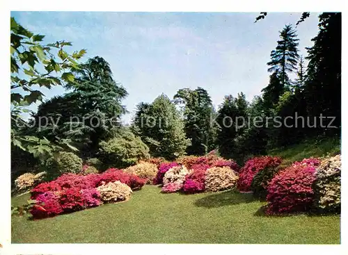 AK / Ansichtskarte Bellagio Lago di Como Villa Melzi Park