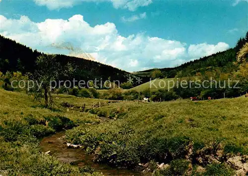 AK / Ansichtskarte Usseln Partie im Diemeltal Naturpark Diemelsee Kat. Willingen (Upland)