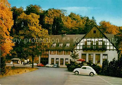 AK / Ansichtskarte Warstein Waldhotel Tropfsteinhoehle mit Wild Freigehege Herbststimmung Kat. Warstein