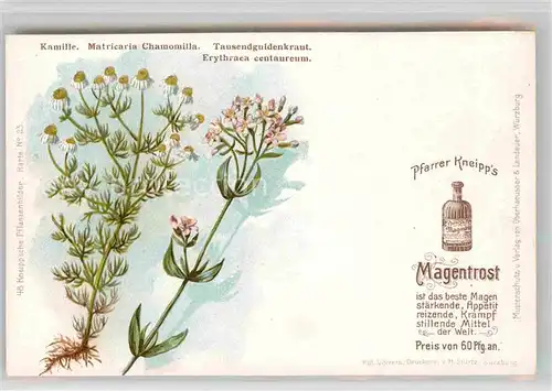 AK / Ansichtskarte Medizin Pfarrer Kneipp s Magentrost Kamille Tausendguldenkraut Litho Kat. Medizin