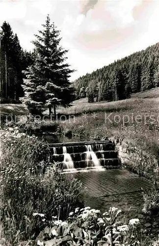 AK / Ansichtskarte Buhlbach Obertal Weg zum Buhlbachsee