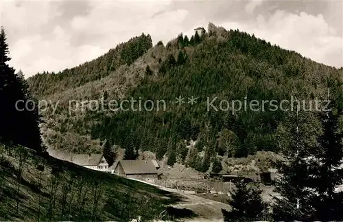 AK / Ansichtskarte Altensteig Schwarzwald Internationales Forum Burg Hornberg