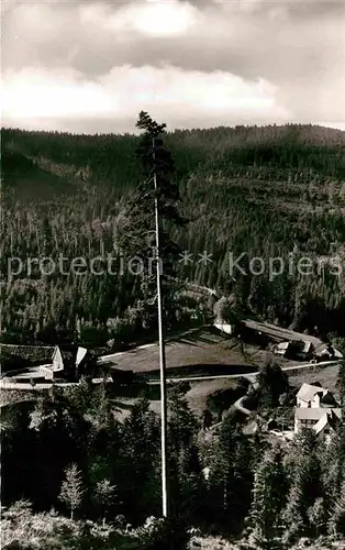 AK / Ansichtskarte Hinterlangenbach Baiersbronn Forsthaus Auerhahn Kat. Baiersbronn