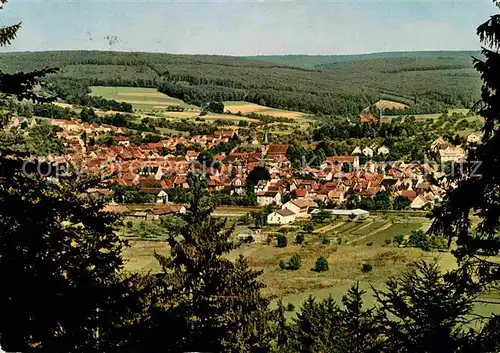 Bad Koenig Odenwald Panorama Kat. Bad Koenig