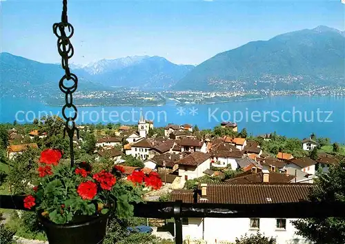 AK / Ansichtskarte Piazzogna Lago Maggiore Panorama