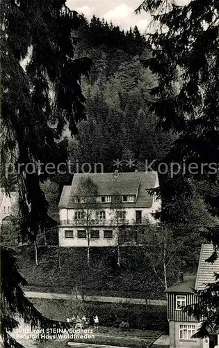 AK / Ansichtskarte Steina Suedharz Pension Haus Waldfrieden Kat. Bad Sachsa