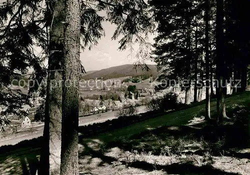 AK / Ansichtskarte Heselbach Baiersbronn Teilansicht  Kat. Baiersbronn