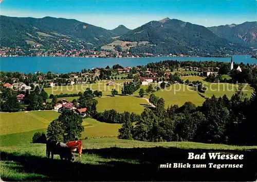 AK / Ansichtskarte Bad Wiessee Tegernsee Panorama