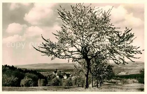 AK / Ansichtskarte Baitenhausen Panorama  Kat. Meersburg