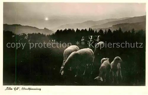 AK / Ansichtskarte Schoenwald Schwarzwald Alte Eck Abendstimmung Schafe Kat. Schoenwald im Schwarzwald