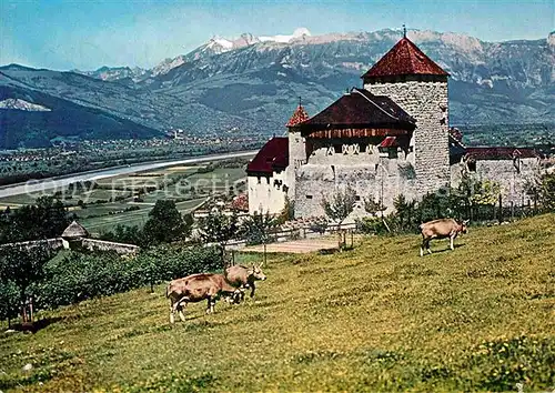 AK / Ansichtskarte Vaduz Schloss Residenz Fuerst von Liechtenstein Panorama Rheintal Kat. Vaduz