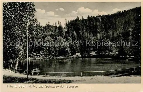 AK / Ansichtskarte Triberg Schwarzwald Bergsee Kat. Triberg im Schwarzwald