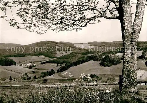 AK / Ansichtskarte Voehrenbach Panorama Gasthof Penson Friedrichshoehe Kat. Voehrenbach