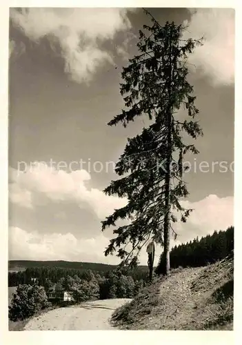 AK / Ansichtskarte Triberg Schwarzwald Malerklause Lindengrund Kat. Triberg im Schwarzwald