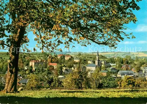 AK / Ansichtskarte Lengenfeld Vogtland Panorama Kat. Lengenfeld Vogtland