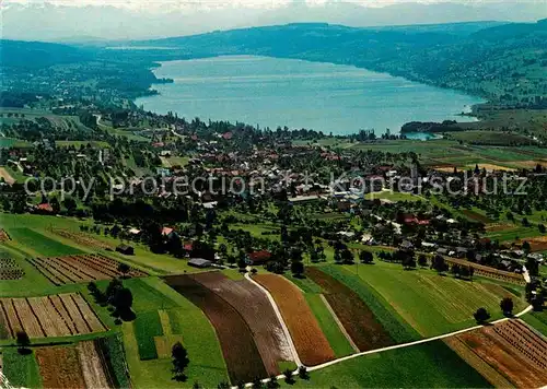 AK / Ansichtskarte Hallwilersee Fliegeraufnahme Kat. Hallwil