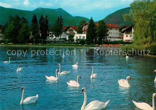 AK / Ansichtskarte Bad Wiessee Kuranlagen Hirschberg Kat. Bad Wiessee