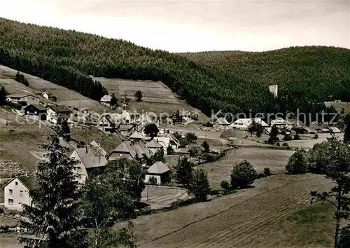 AK / Ansichtskarte Hammereisenbach Bregenbach Teilansicht Kat. Voehrenbach