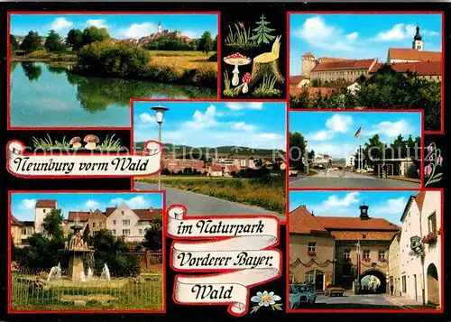 AK / Ansichtskarte Neunburg Wald Brunnen Stadttor Ortsansichten Kat. Neunburg vorm Wald