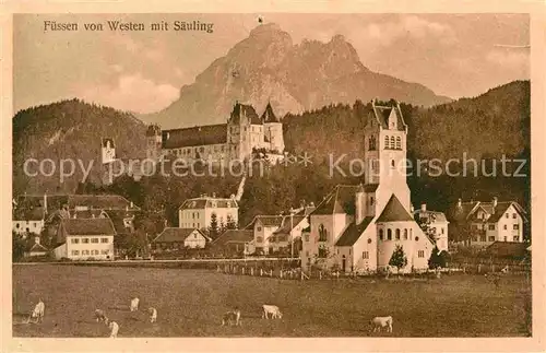 AK / Ansichtskarte Fuessen Allgaeu Saeuling Panorama Schloss Kat. Fuessen