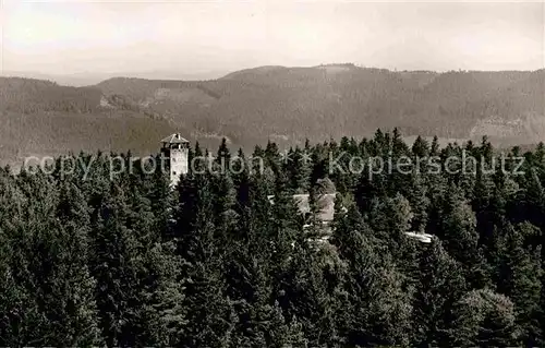 AK / Ansichtskarte Herrenalb Loeffenau Schwarzwald Hoehengasthaus Teufelsmuehle Kat. March