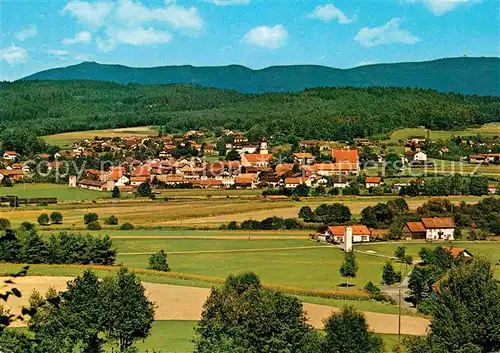 AK / Ansichtskarte Blaibach Panorama Kat. Blaibach