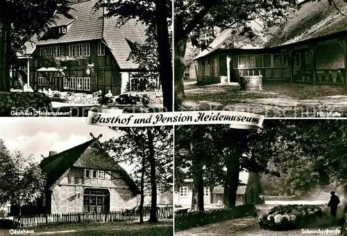 AK / Ansichtskarte Wilsede Lueneburger Heide Pensionshaus Heidemuseum Kat. Bispingen