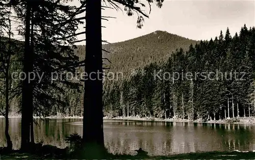 AK / Ansichtskarte Arbersee Arbergipfel Kat. Bayerisch Eisenstein