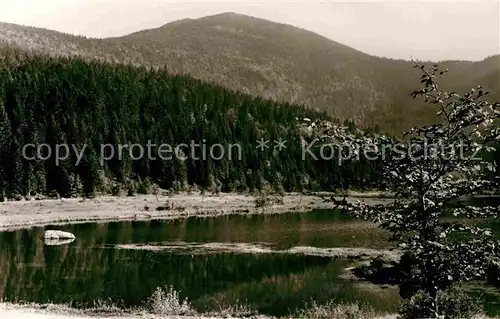 AK / Ansichtskarte Arbersee Kleiner Arbersee Arbergipfel Kat. Bayerisch Eisenstein