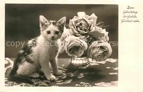 AK / Ansichtskarte Katzen Geburtstag Rosen  Kat. Tiere