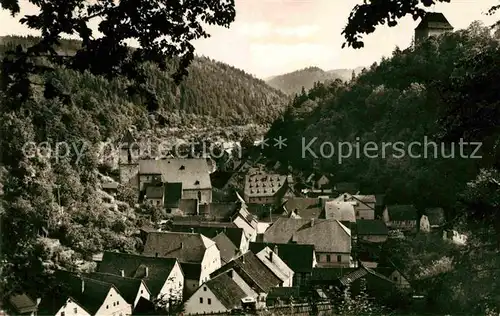 AK / Ansichtskarte Ziegenrueck Panorama