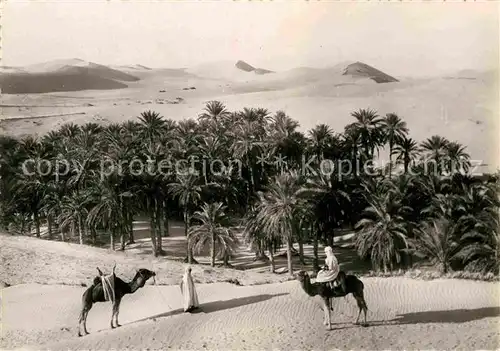 AK / Ansichtskarte Typen Arabien Palmeraie dans le Sud Kamele  Kat. Typen