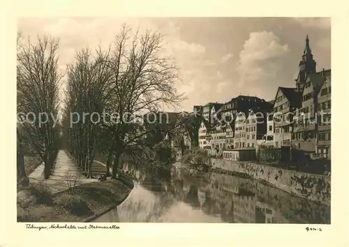 AK / Ansichtskarte Tuebingen Neckarhalde und Platanenallee Kat. Tuebingen