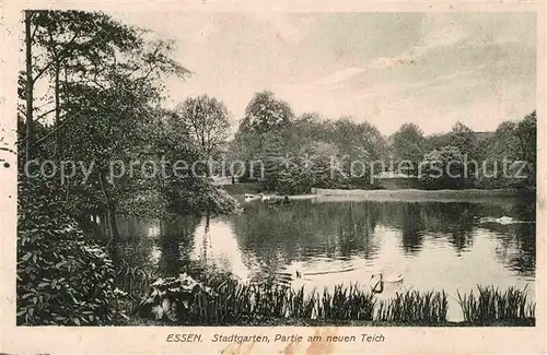 AK / Ansichtskarte Essen Ruhr Stadtgarten Teich Kat. Essen