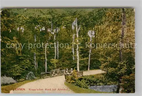 AK / Ansichtskarte Essen Ruhr Kruppscher Wald Altenhof Kat. Essen