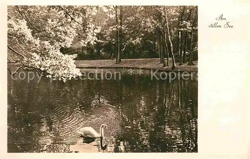 AK / Ansichtskarte Verlag Amag Nr. Am stillen See Schwan Kat. Albrecht & Meister AG