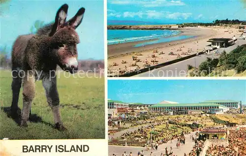 AK / Ansichtskarte Barry The Sands Promenade Esel Kat. Barry