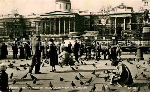 AK / Ansichtskarte London Feeding the Pigeons in Trafalgar Square Kat. City of London