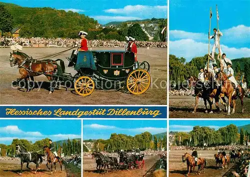 AK / Ansichtskarte Dillenburg Hessisches Landgestuet Hengstparade Kat. Dillenburg