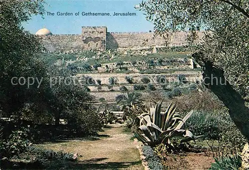 AK / Ansichtskarte Jerusalem Yerushalayim the Garden of Gethsemane Kat. Israel