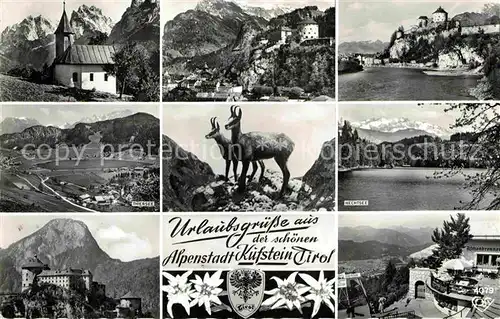 AK / Ansichtskarte Kufstein Tirol Hechtsee Steinboecke Kat. Kufstein