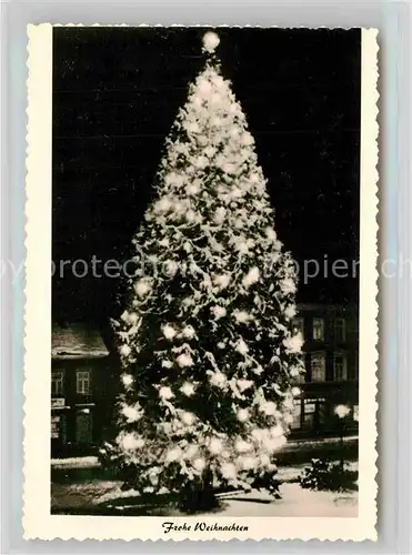 AK / Ansichtskarte Wermelskirchen Mammutkiefer Naturweihnachtsbaum Winter Kat. Wermelskirchen