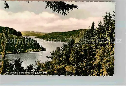 AK / Ansichtskarte Sorpesee Sauerland Panorama Kat. Sundern (Sauerland)