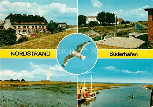 AK / Ansichtskarte Nordstrand Moewe  Kat. Nordstrand