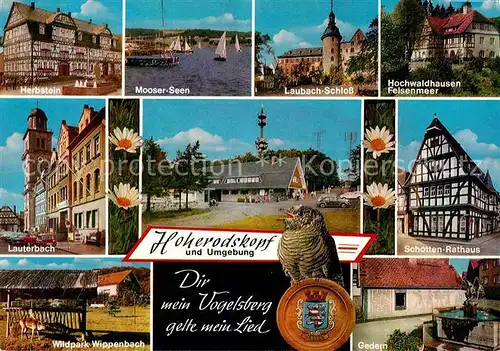 AK / Ansichtskarte Herbstein Lauterbach Hoherodskopf Wildpark Gedern Laubach Schloss Mooser Seen Kat. Herbstein