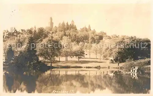 AK / Ansichtskarte Kronberg Taunus Schwanenteich Kat. Kronberg im Taunus